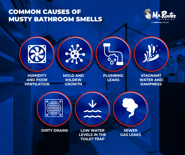 Common Causes of Musty Bathroom Smells