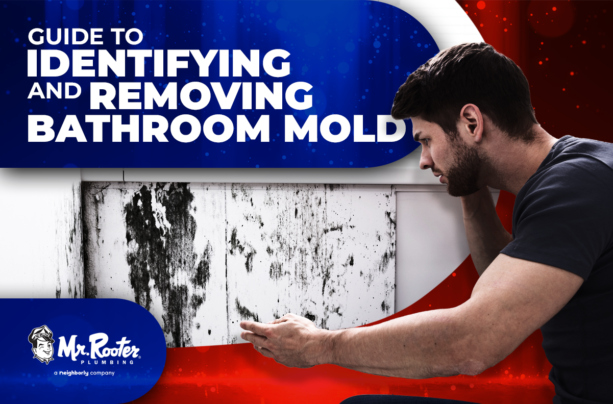 Guide to Identifying and Removing Bathroom Mold