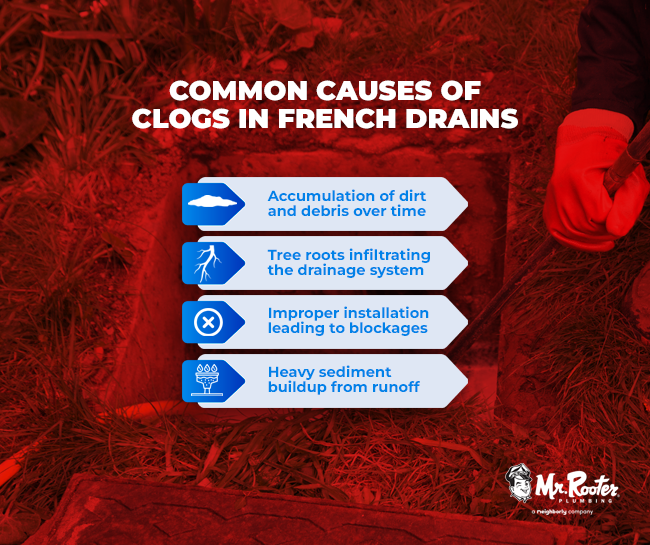 Common Causes of Clogs in French Drains