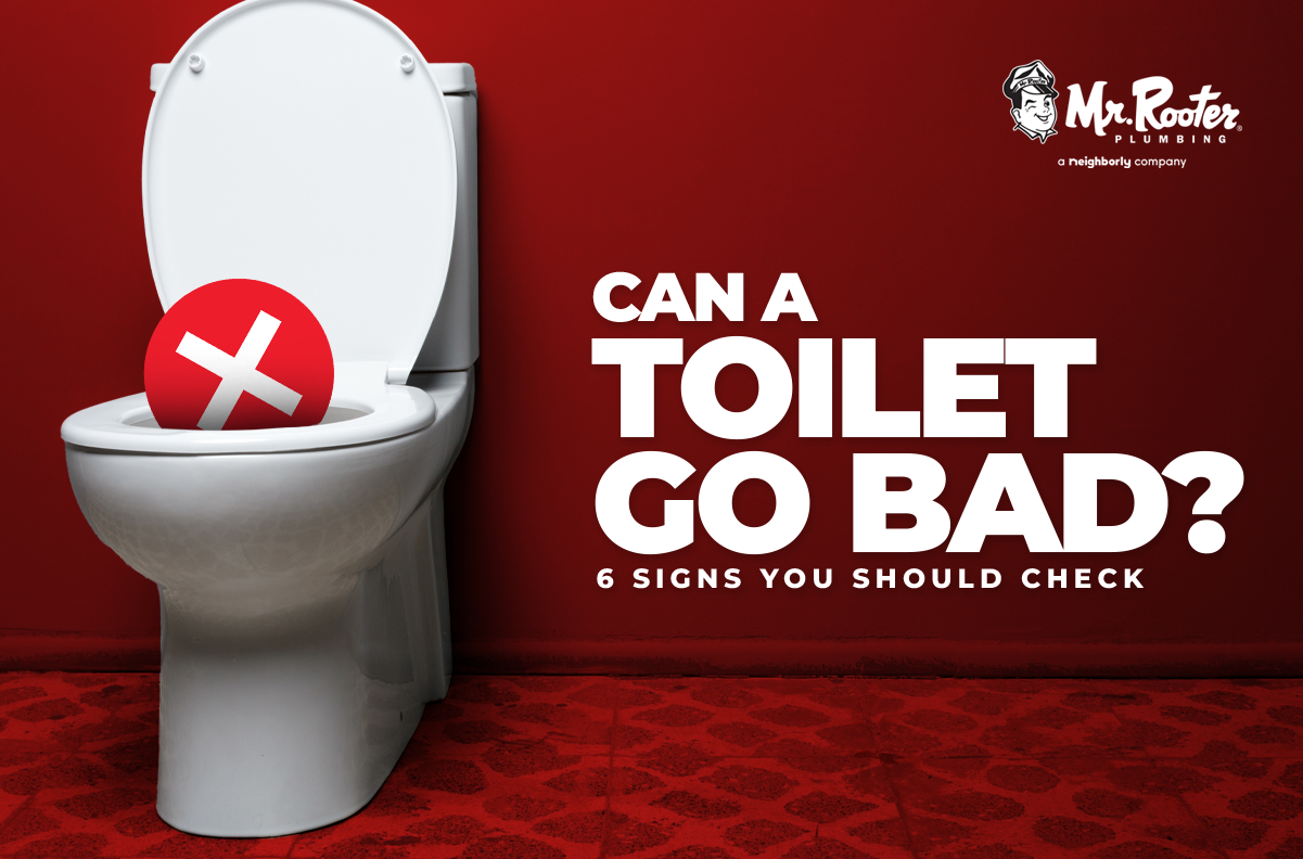 Can A Toilet Go Bad? 6 Signs You Should Check