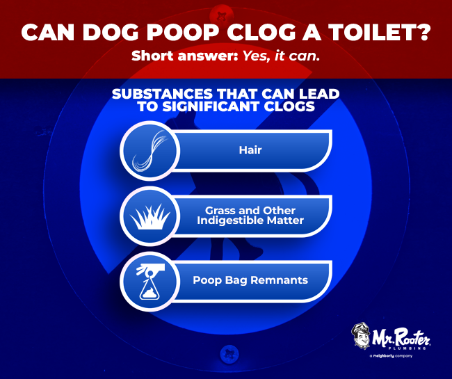 Potential Risks and Issues