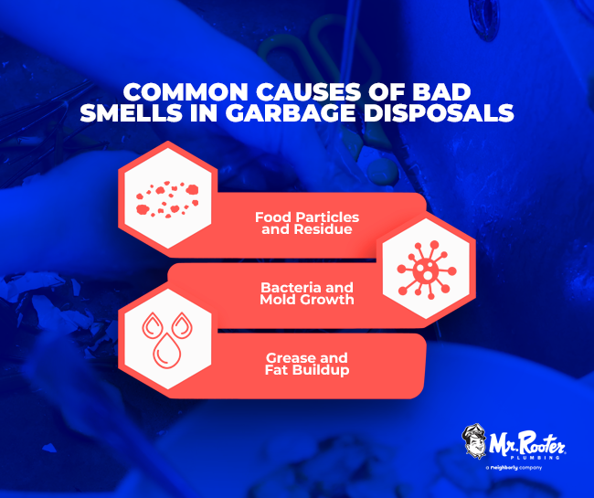 Common Causes of Bad Smells in Garbage Disposals