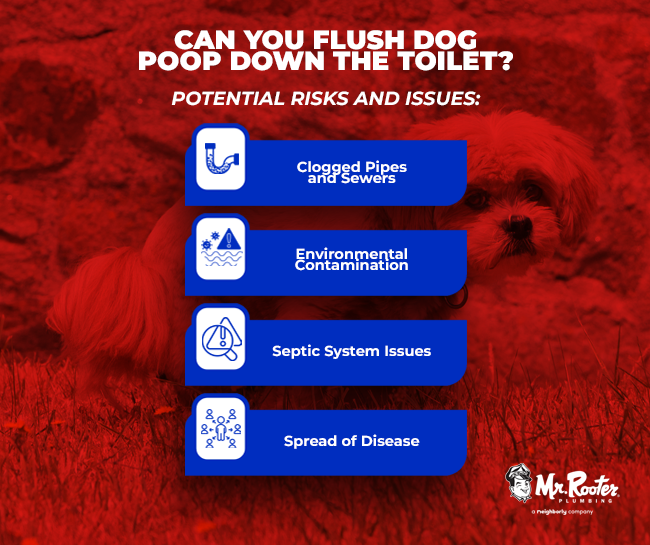 Potential Risks and Issues