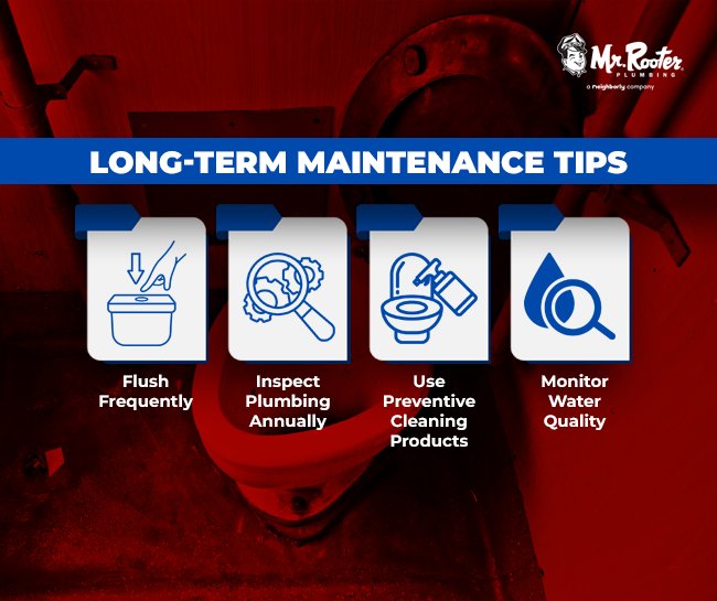 Long-Term Maintenance Tips